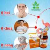 NanoCurcumin Học Viện Quân Y: Bí Quyết Vàng Cho Hệ Tiêu Hóa Khỏe Mạnh