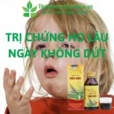 Thuốc Ho Thảo Dược Yên Bái