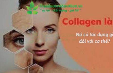 Collagen là gì và nó có tác dụng gì đối với cơ thể?